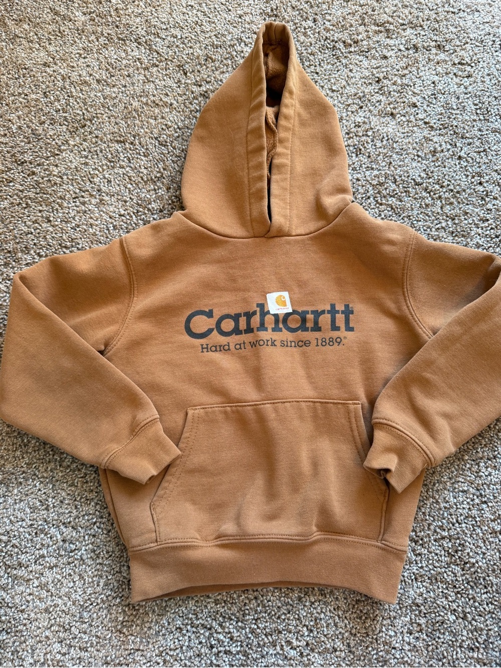 CARHARTT Camel Graphic Hooded Sweatshirt